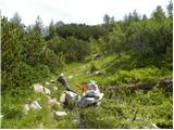 Passo Staulanza - Monte Pena